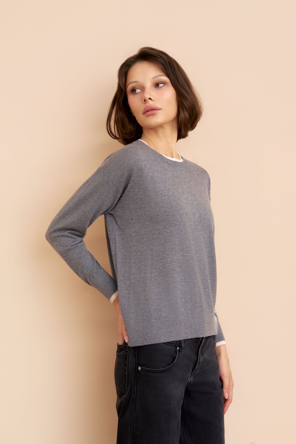 Wool Silk Cashmere Long Sleeve Knit Crewneck Sweater in Gris Chine