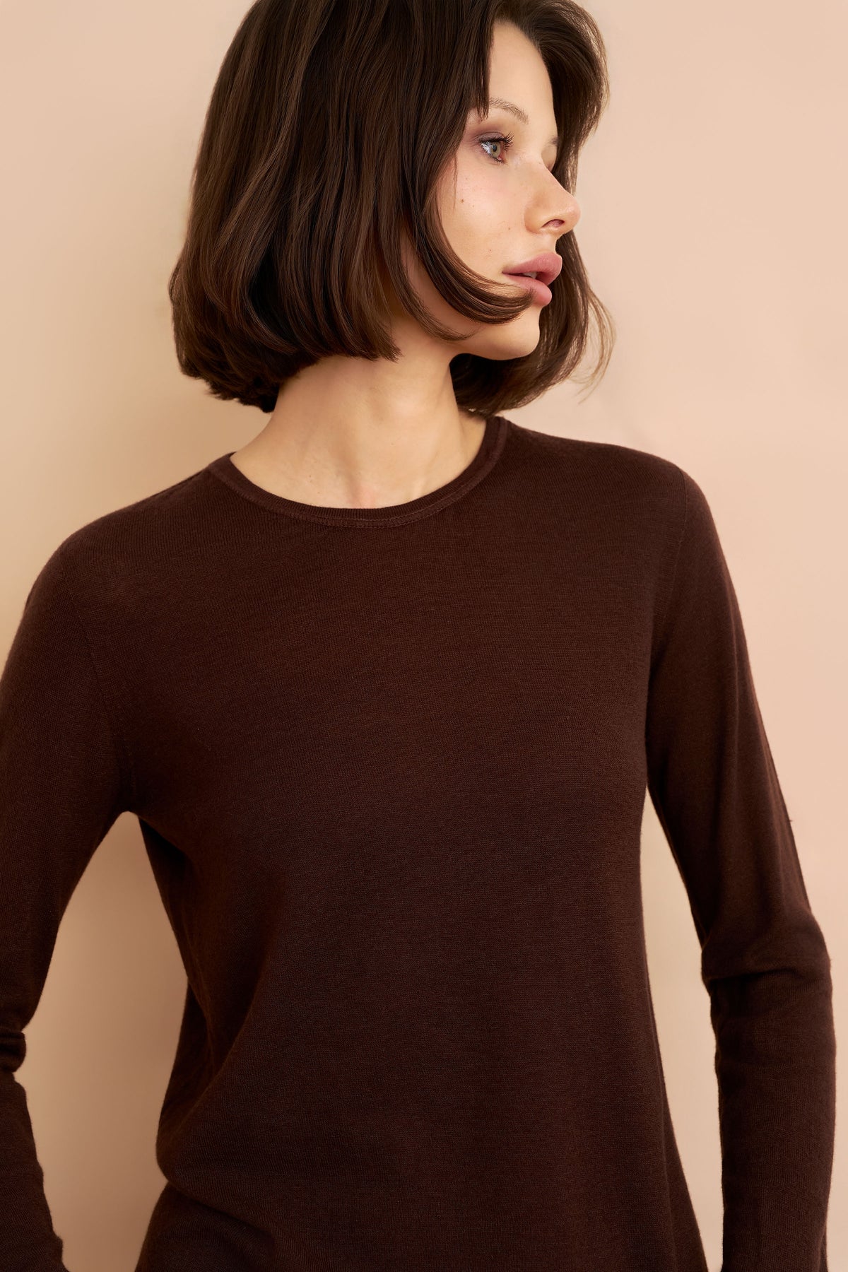 Majestic Long Sleeve Cotton/Cashmere Crewneck Tee in Chocolate Mousse