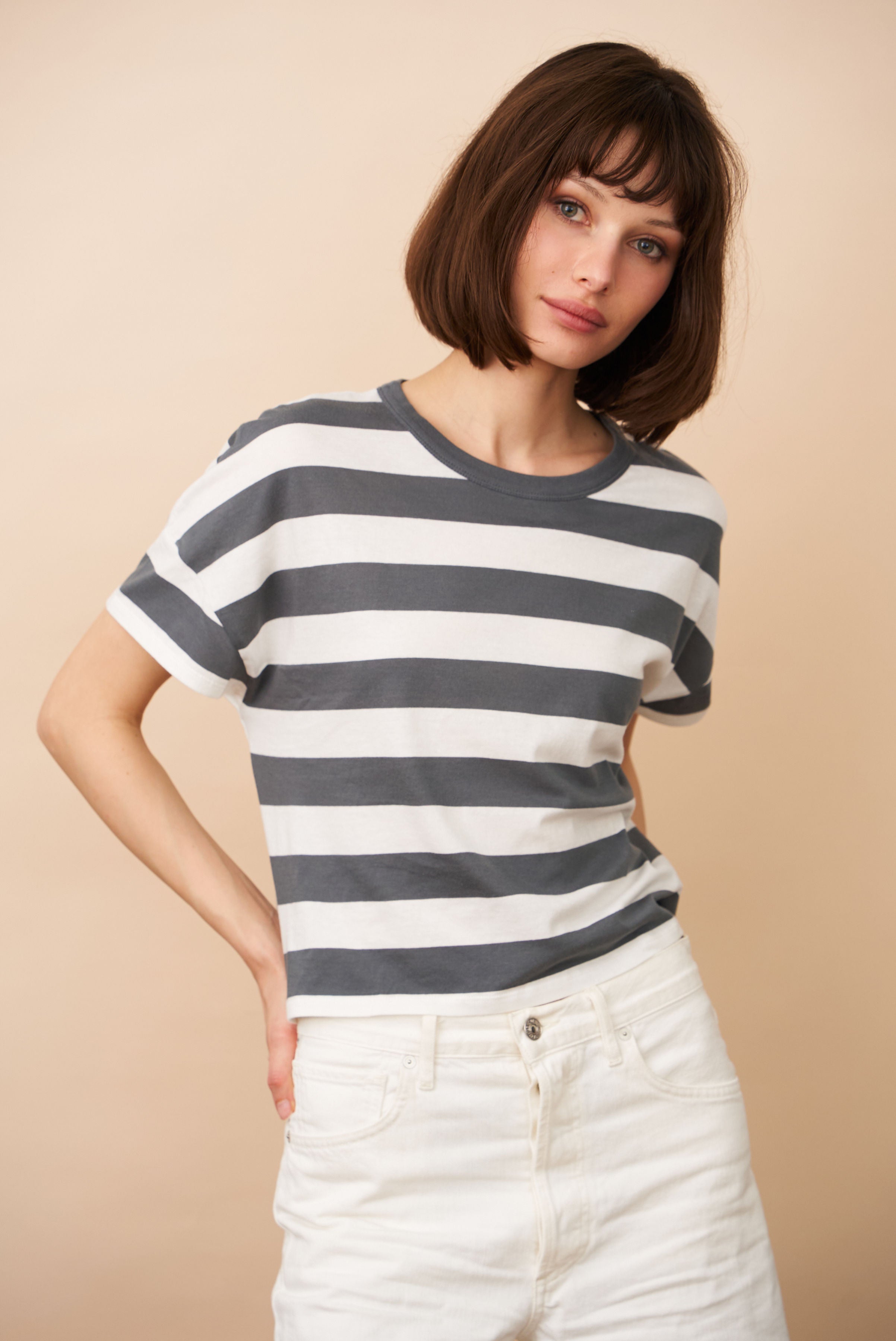 Organic Cotton Silk Touch Stripe Crewneck in Galet