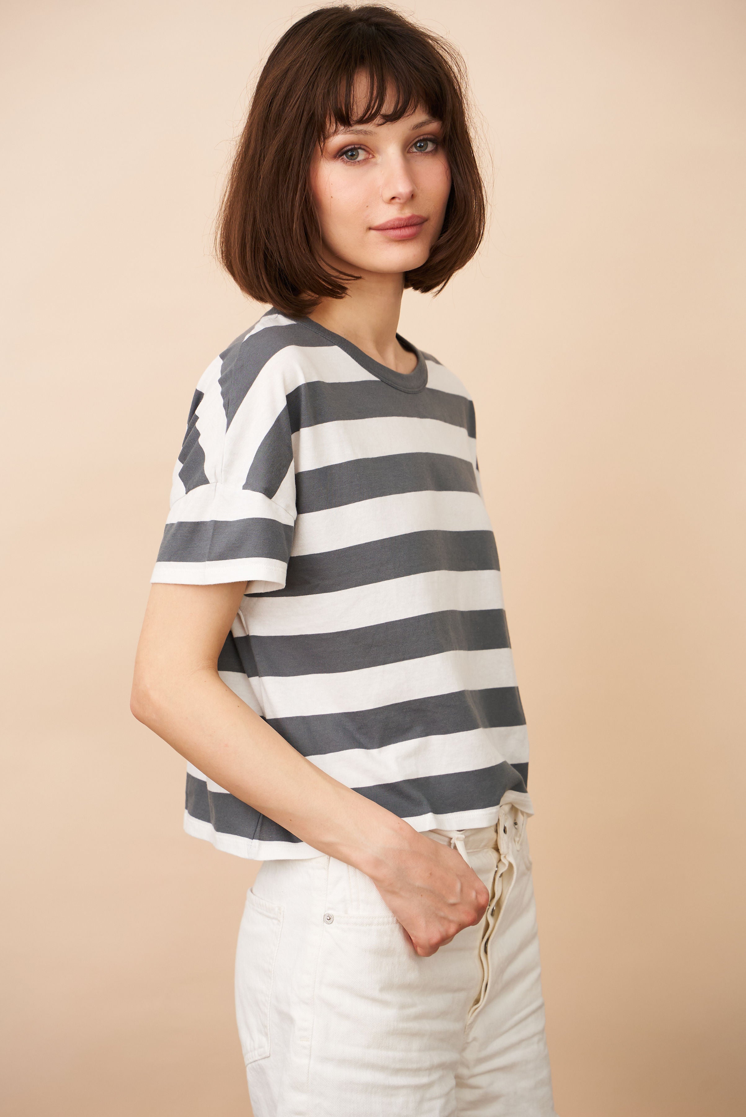 Organic Cotton Silk Touch Stripe Crewneck in Galet